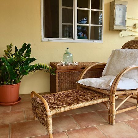 Bubali Gardens Διαμέρισμα Παλμ Μπιτς Εξωτερικό φωτογραφία