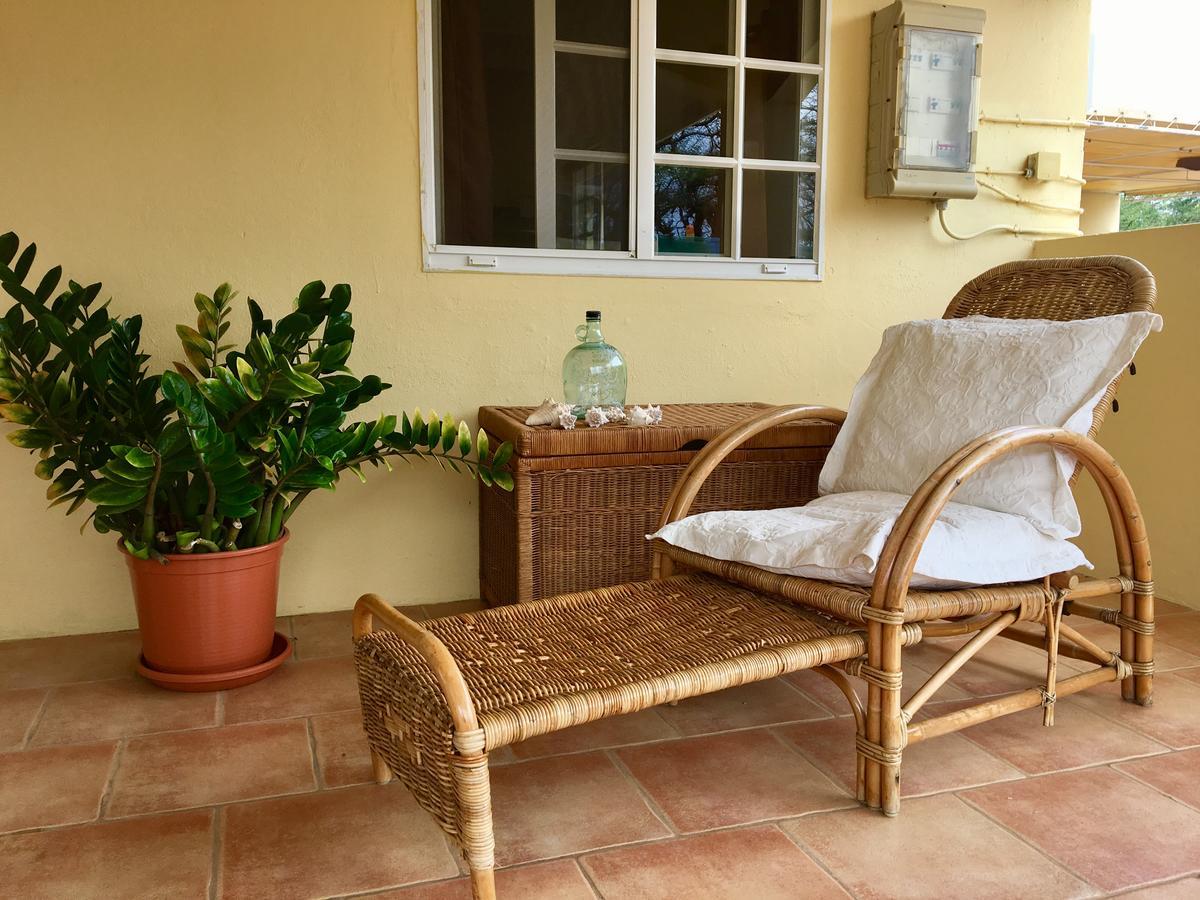 Bubali Gardens Διαμέρισμα Παλμ Μπιτς Εξωτερικό φωτογραφία